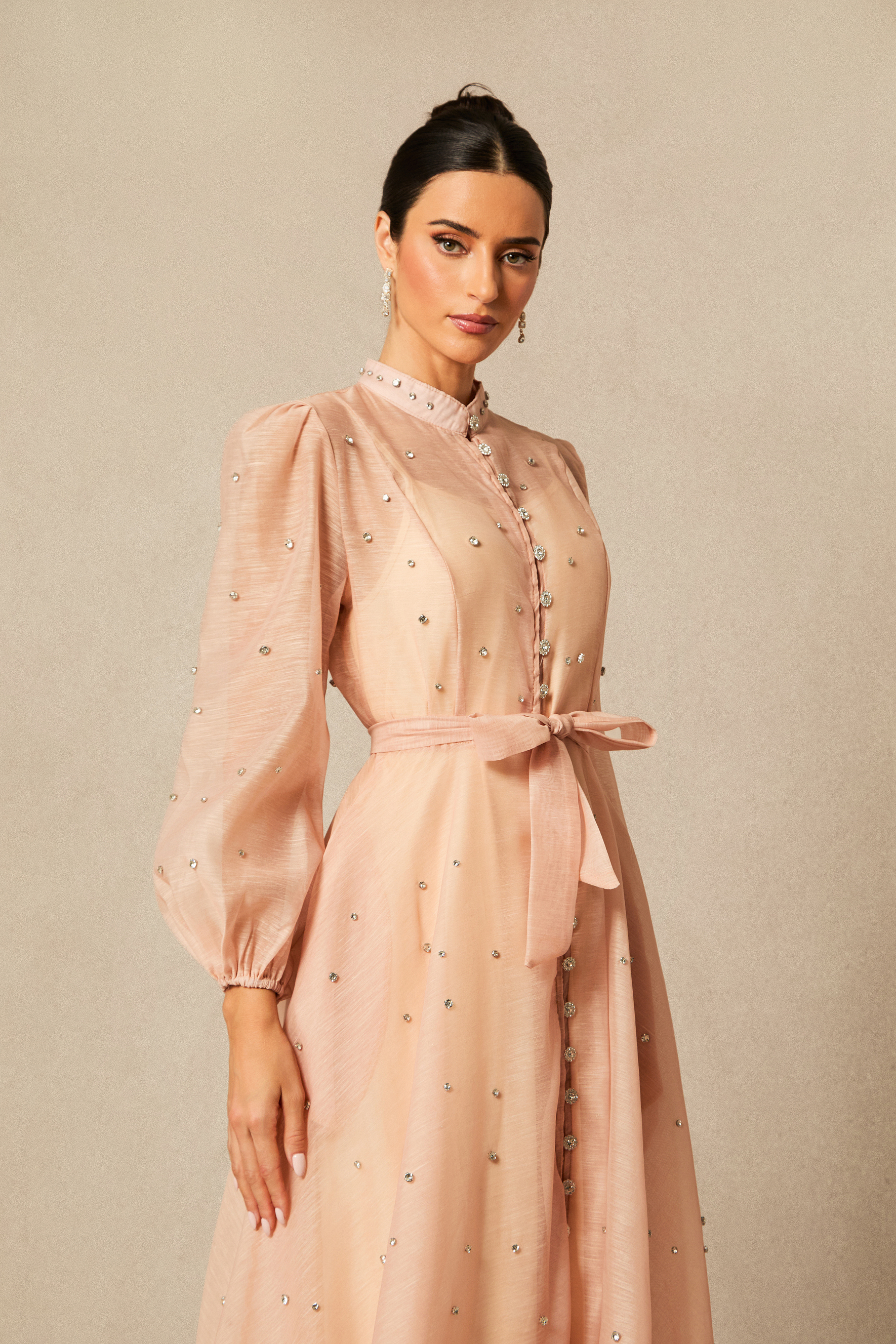 Emelia Crystal Embellished Sheer Maxi Dress