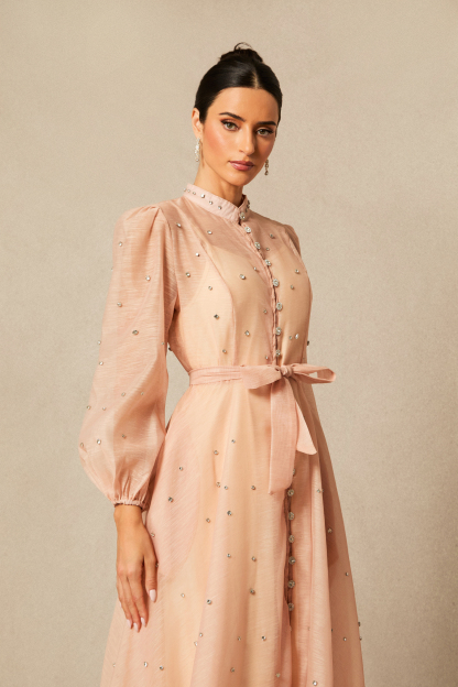 Emelia Crystal Embellished Sheer Maxi Dress