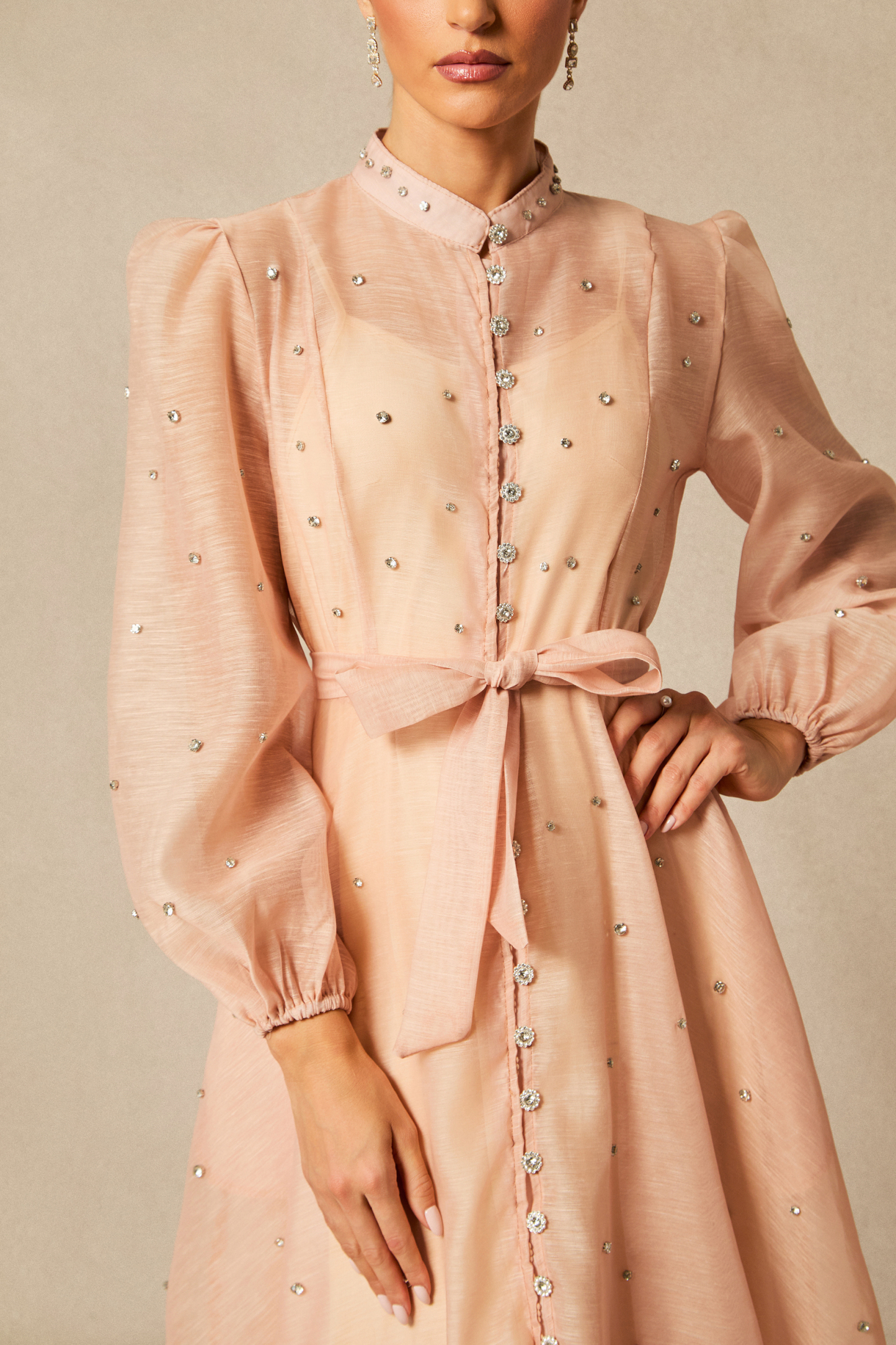 Emelia Crystal Embellished Sheer Maxi Dress