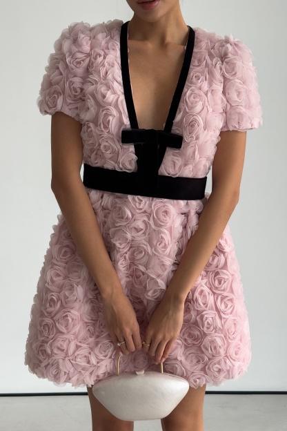 Amelia Rose Embellished V-neck Mini Dress