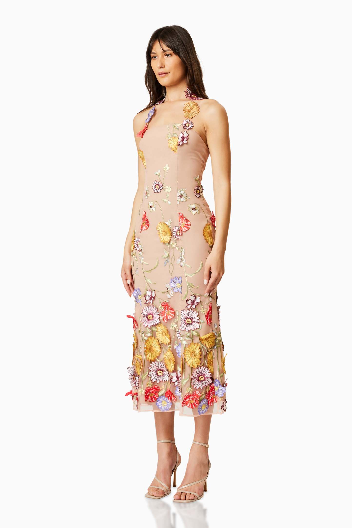 Donna Embroidered Lace Midi Dress