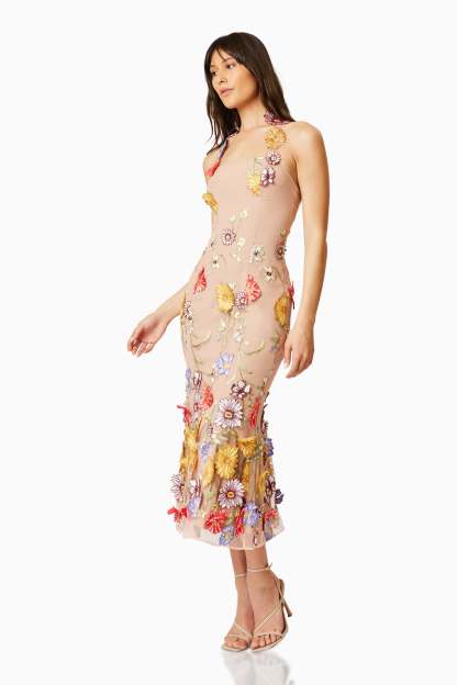 Donna Embroidered Lace Midi Dress