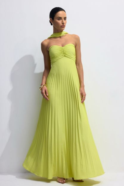 Veromca Strapless Pleated Maxi Dress