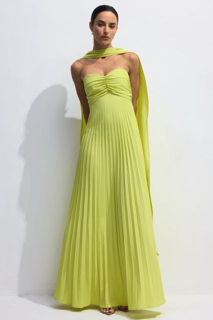Veromca Strapless Pleated Maxi Dress