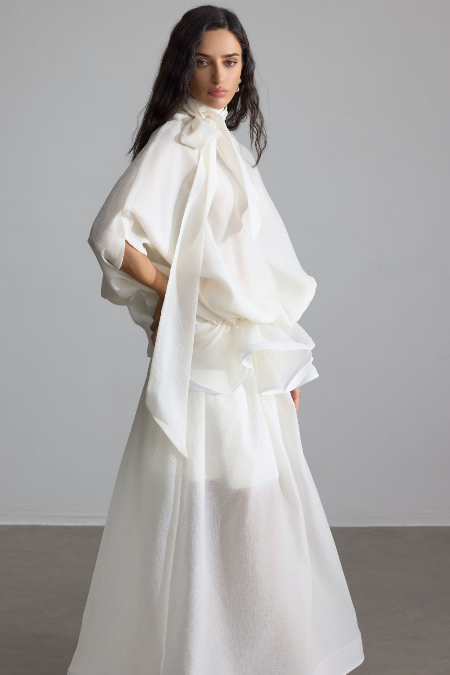 Eliza Tie Neck Semi-sheer Maxi Dress