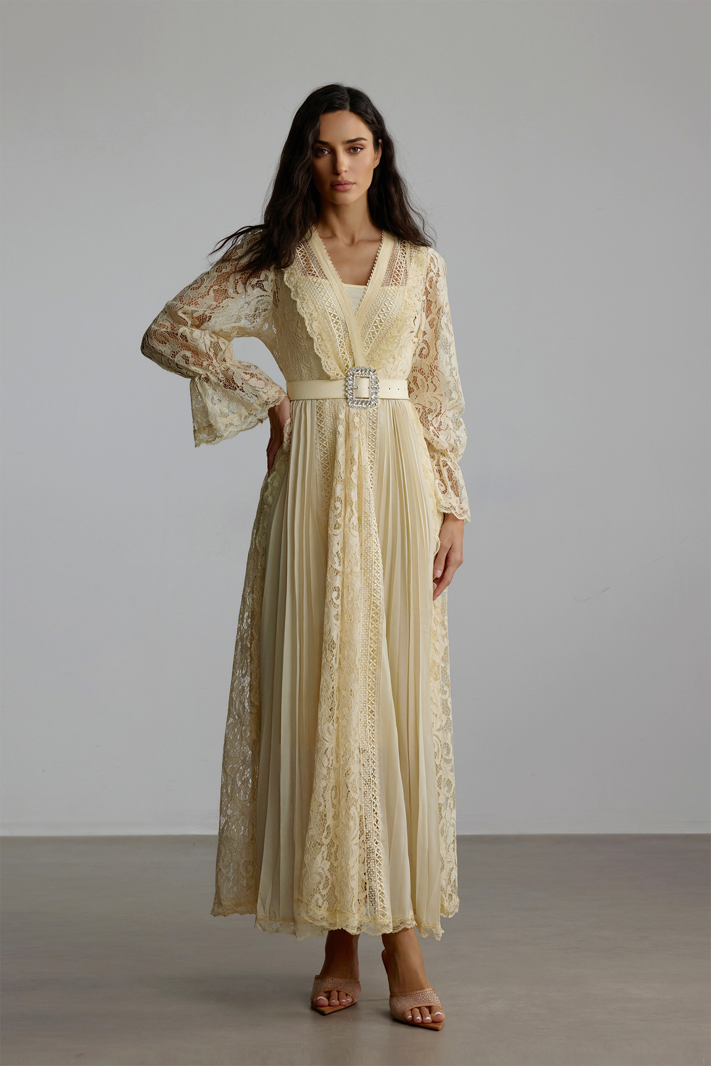 Anita Long Sleeve Sheer Lace Maxi Dress