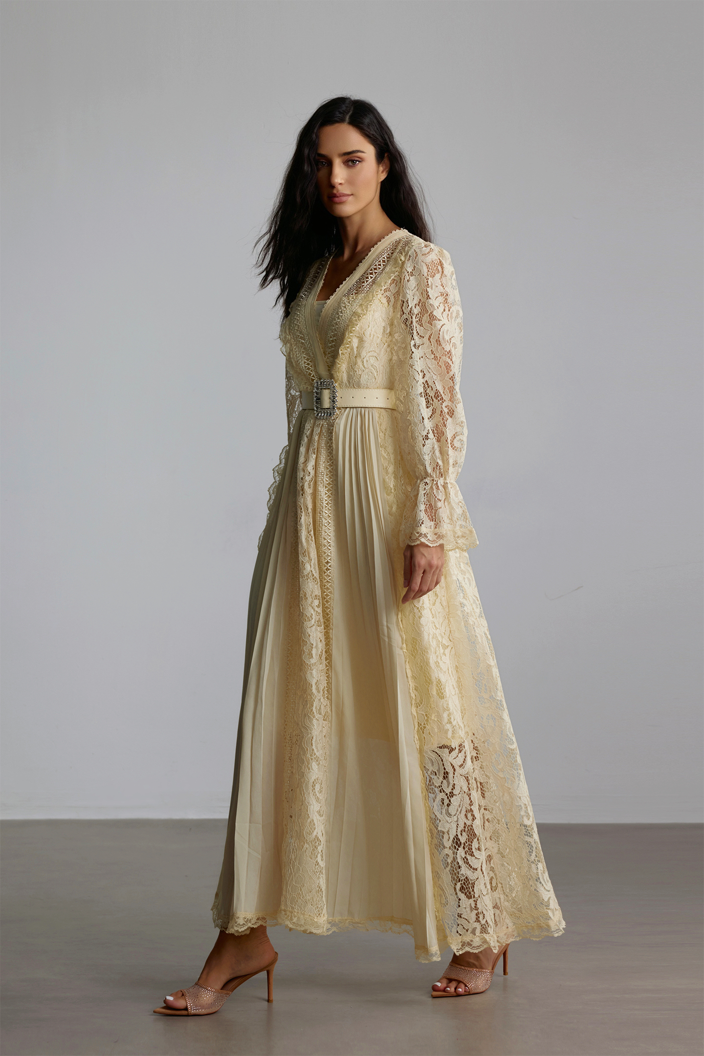 Anita Long Sleeve Sheer Lace Maxi Dress