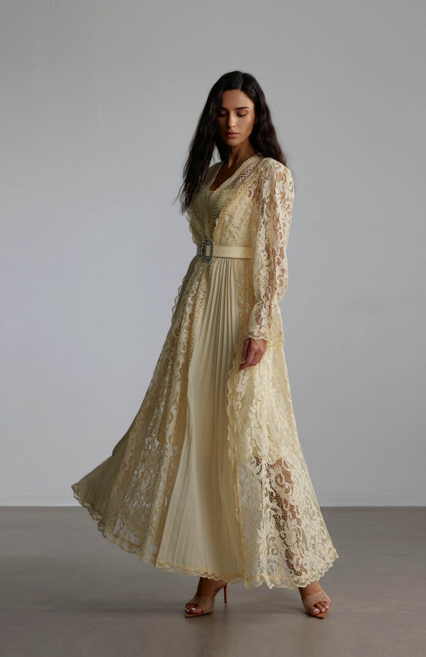 Anita Long Sleeve Sheer Lace Maxi Dress
