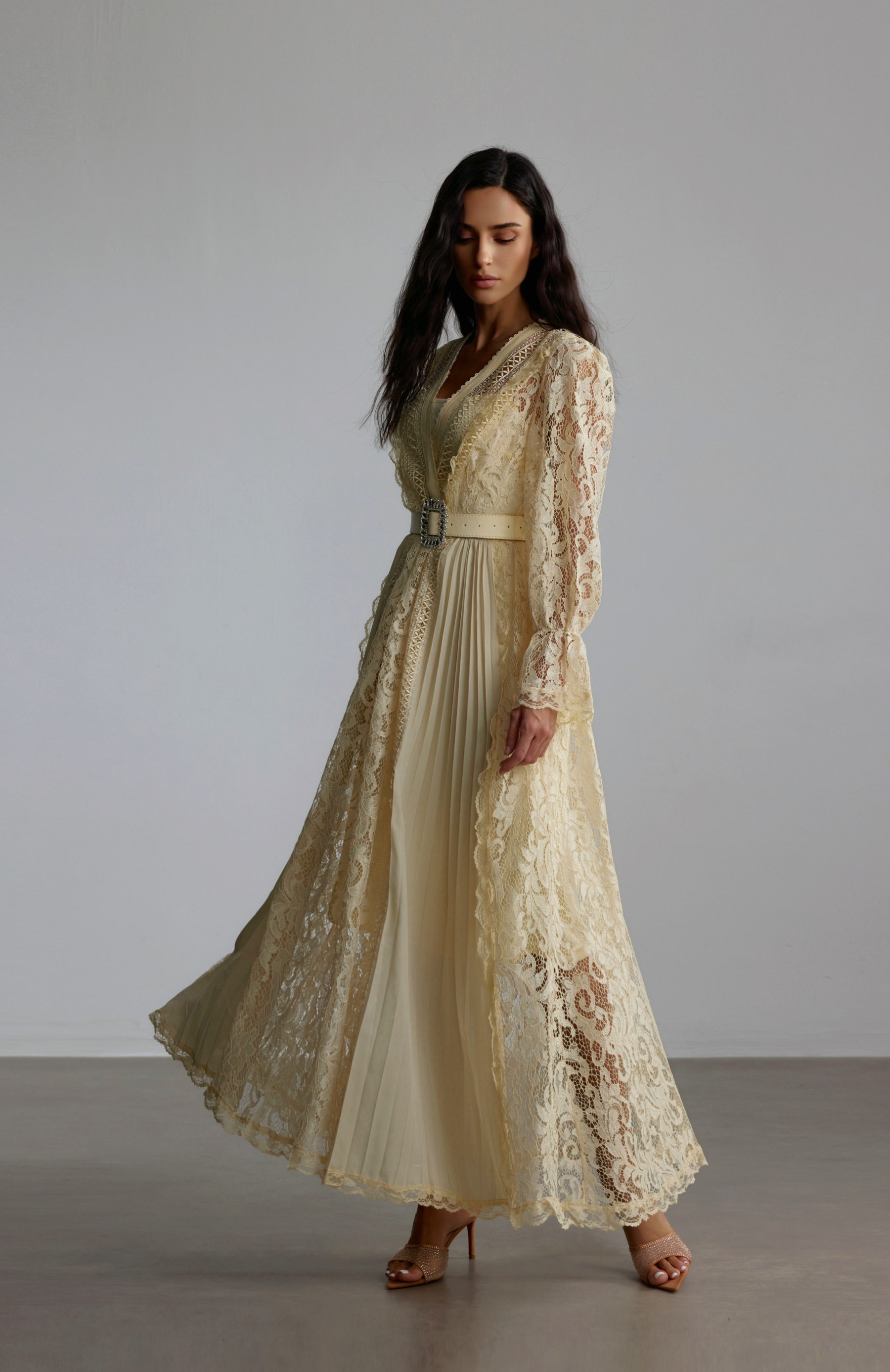 Anita Long Sleeve Sheer Lace Maxi Dress