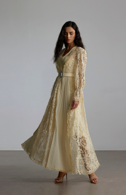 Anita Long Sleeve Sheer Lace Maxi Dress