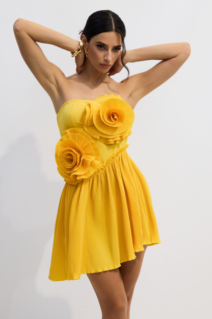 Janet Floral Applique Strapless Mini Dress