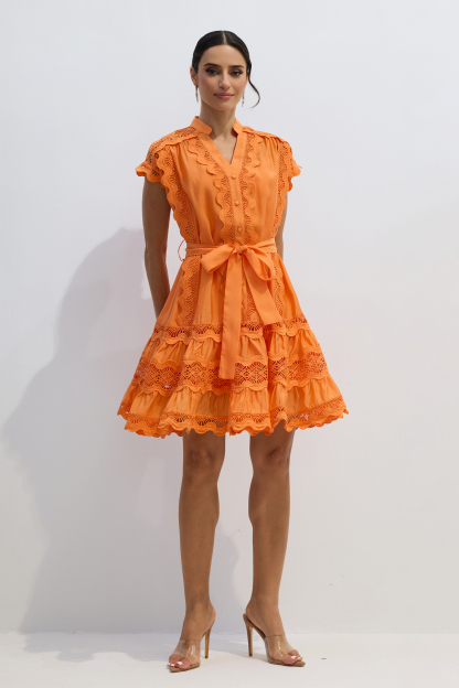 Livia Embroidered Lace Tiered Mini Dress