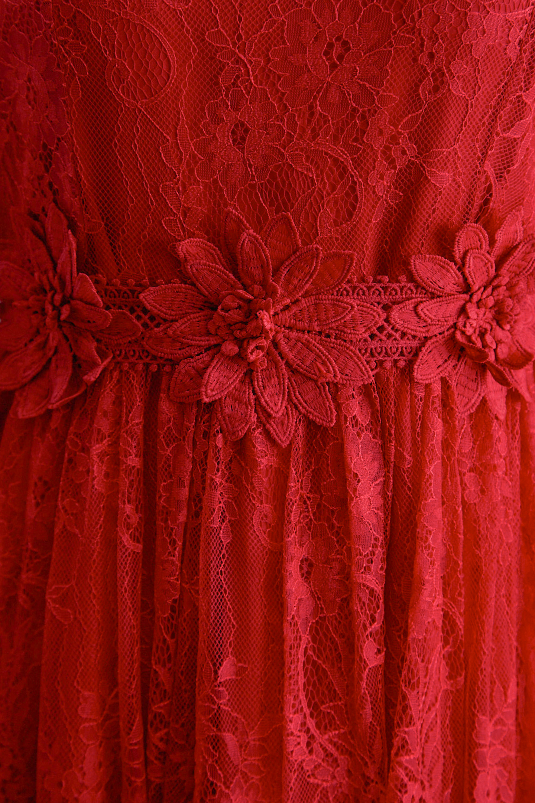 Meet Me Tonight Red Floral Applique Lace Maxi Dress