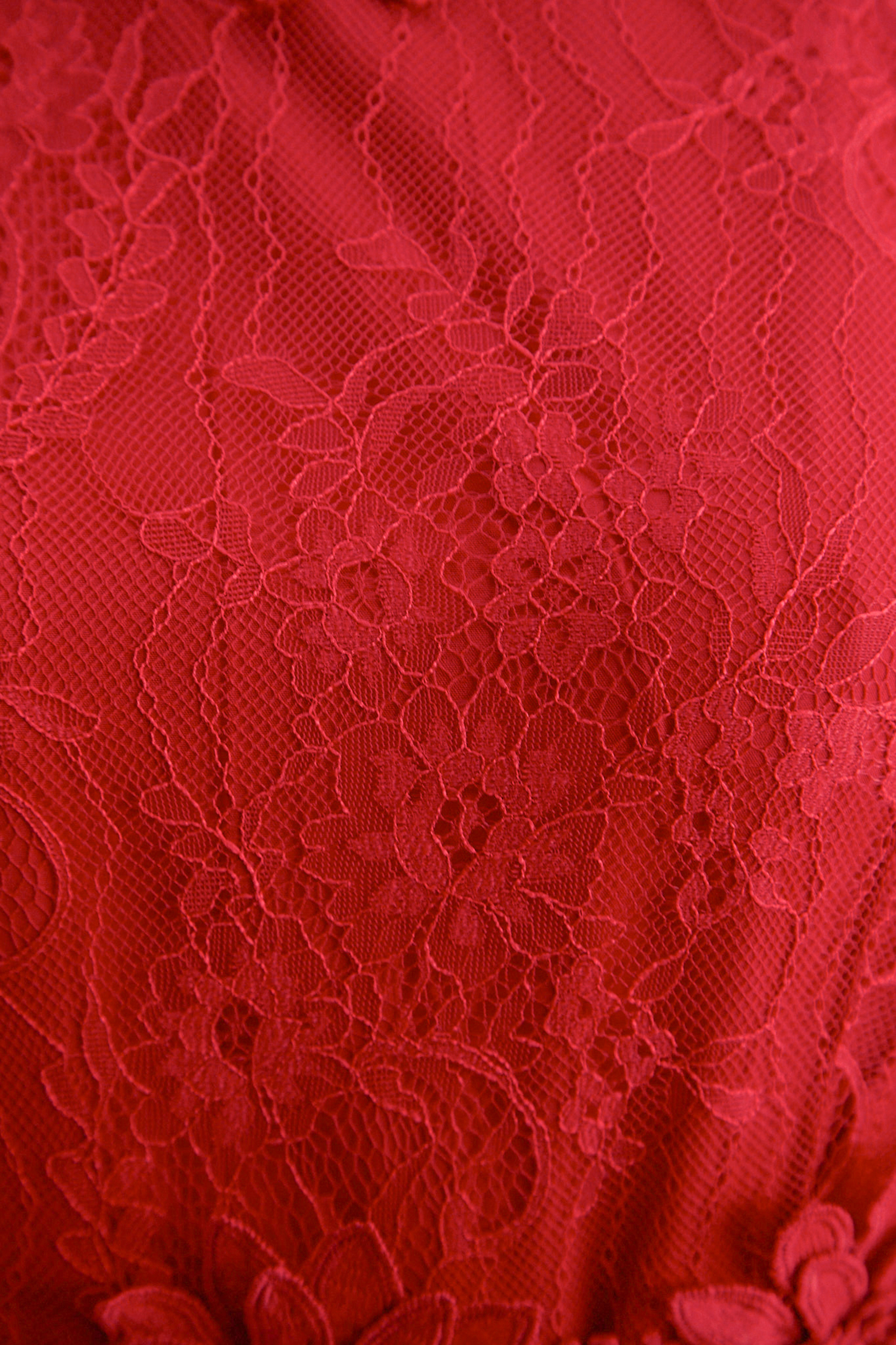 Meet Me Tonight Red Floral Applique Lace Maxi Dress