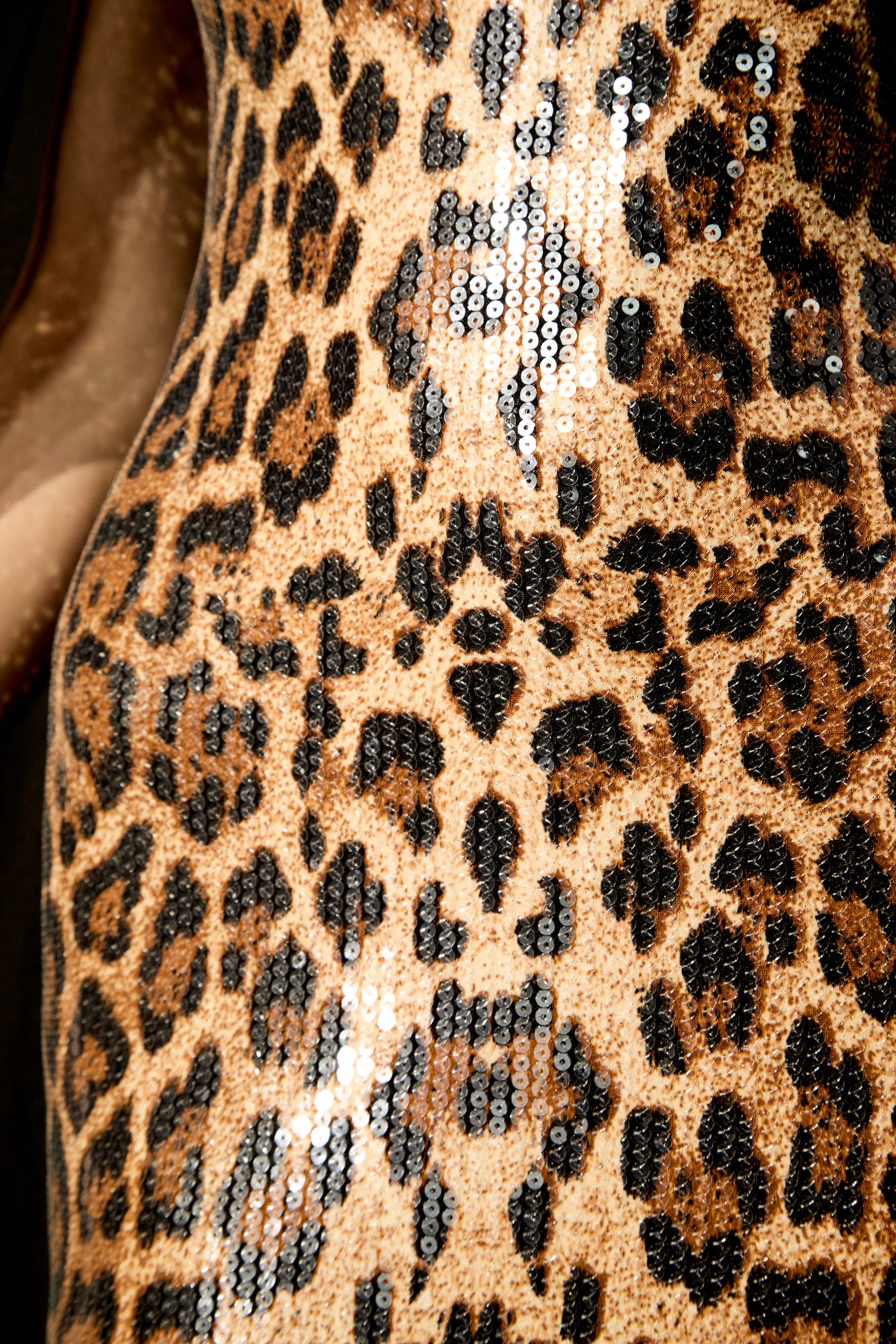 Wild Charm Multi Leopard Print Sequin Maxi Dress & Cape Set