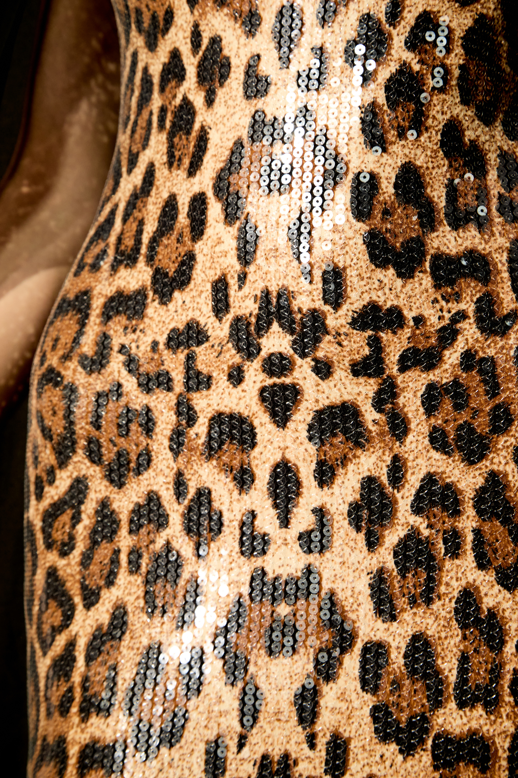 Wild Charm Multi Leopard Print Sequin Maxi Dress & Cape Set