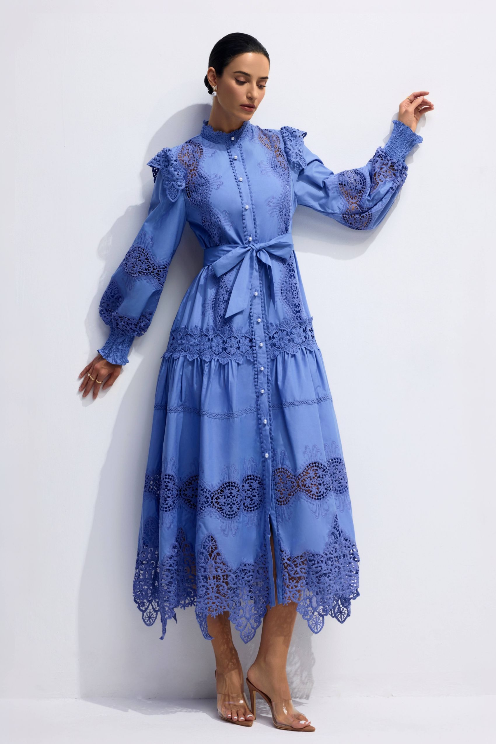 Alina Embroidered Lace Long Sleeve Midi Dress