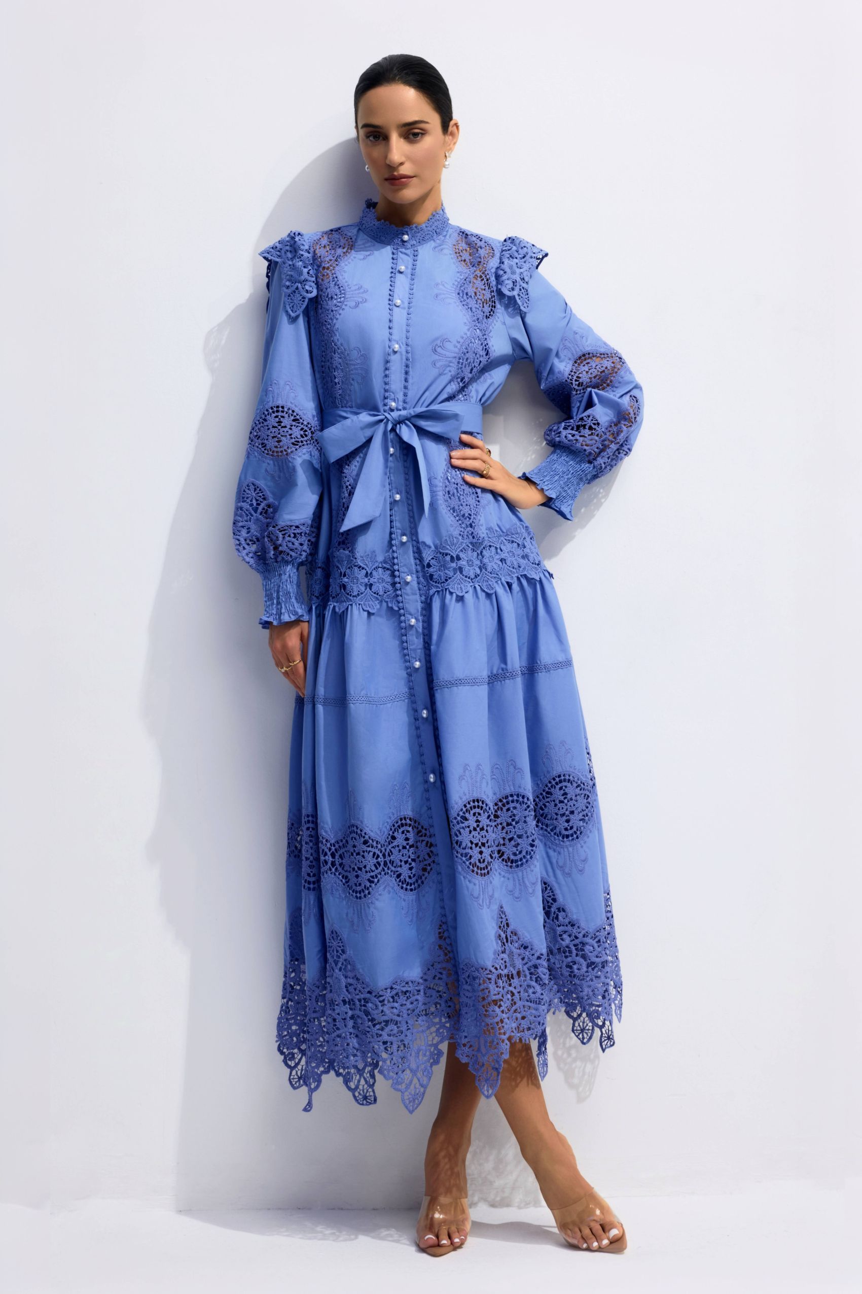 Alina Embroidered Lace Long Sleeve Midi Dress