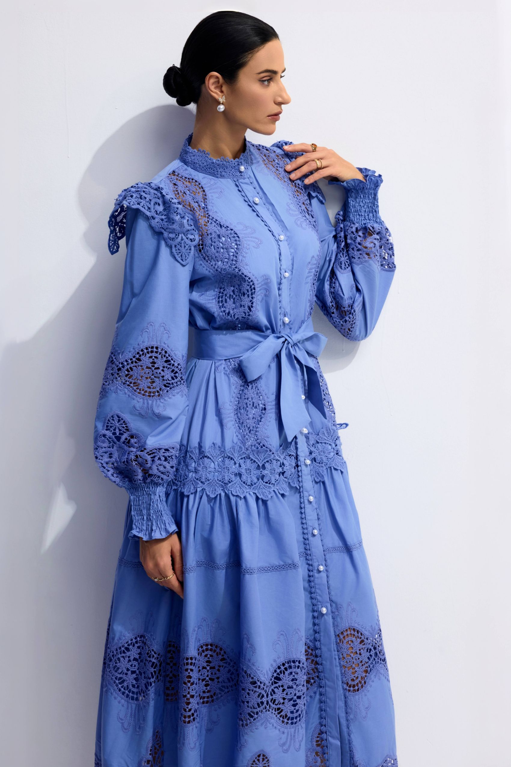 Alina Embroidered Lace Long Sleeve Midi Dress