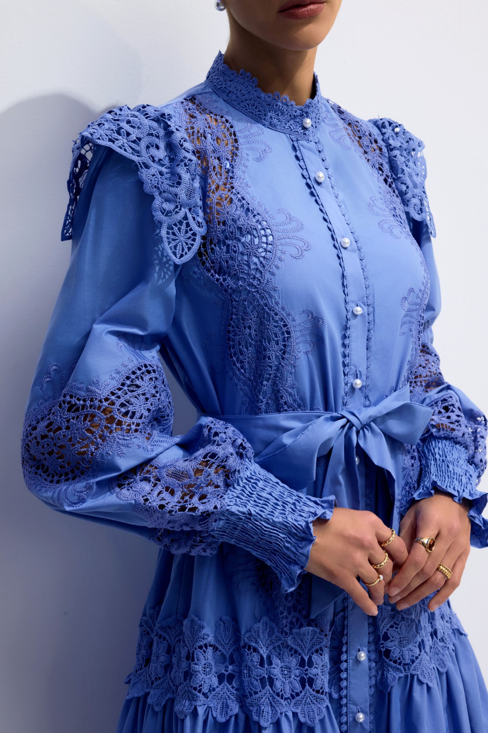 Alina Embroidered Lace Long Sleeve Midi Dress