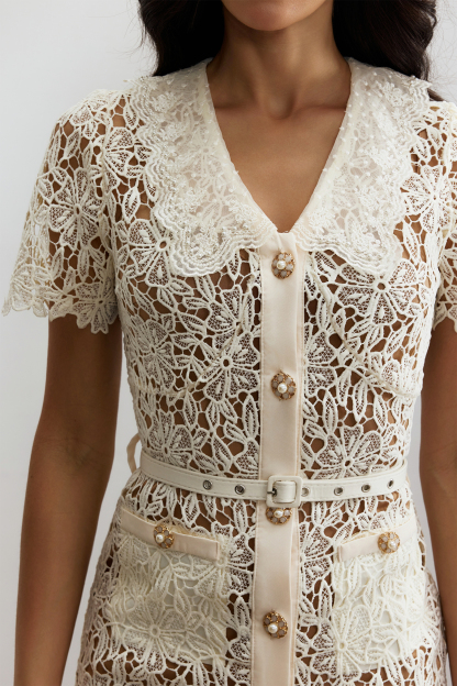 Annette V Neck Embroidered Lace Midi Dress