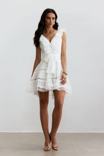 Helena V-neck Lace Embroidery Mini Dress