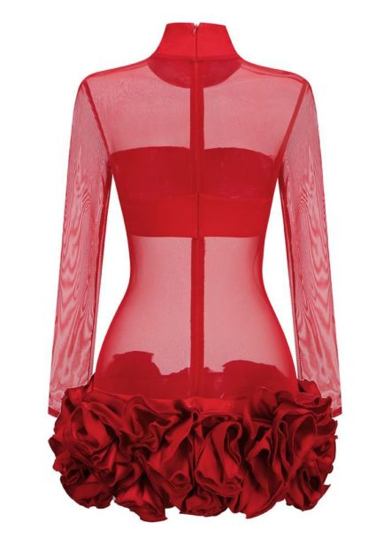 Sally Mock Neck Sheer Mini Dress