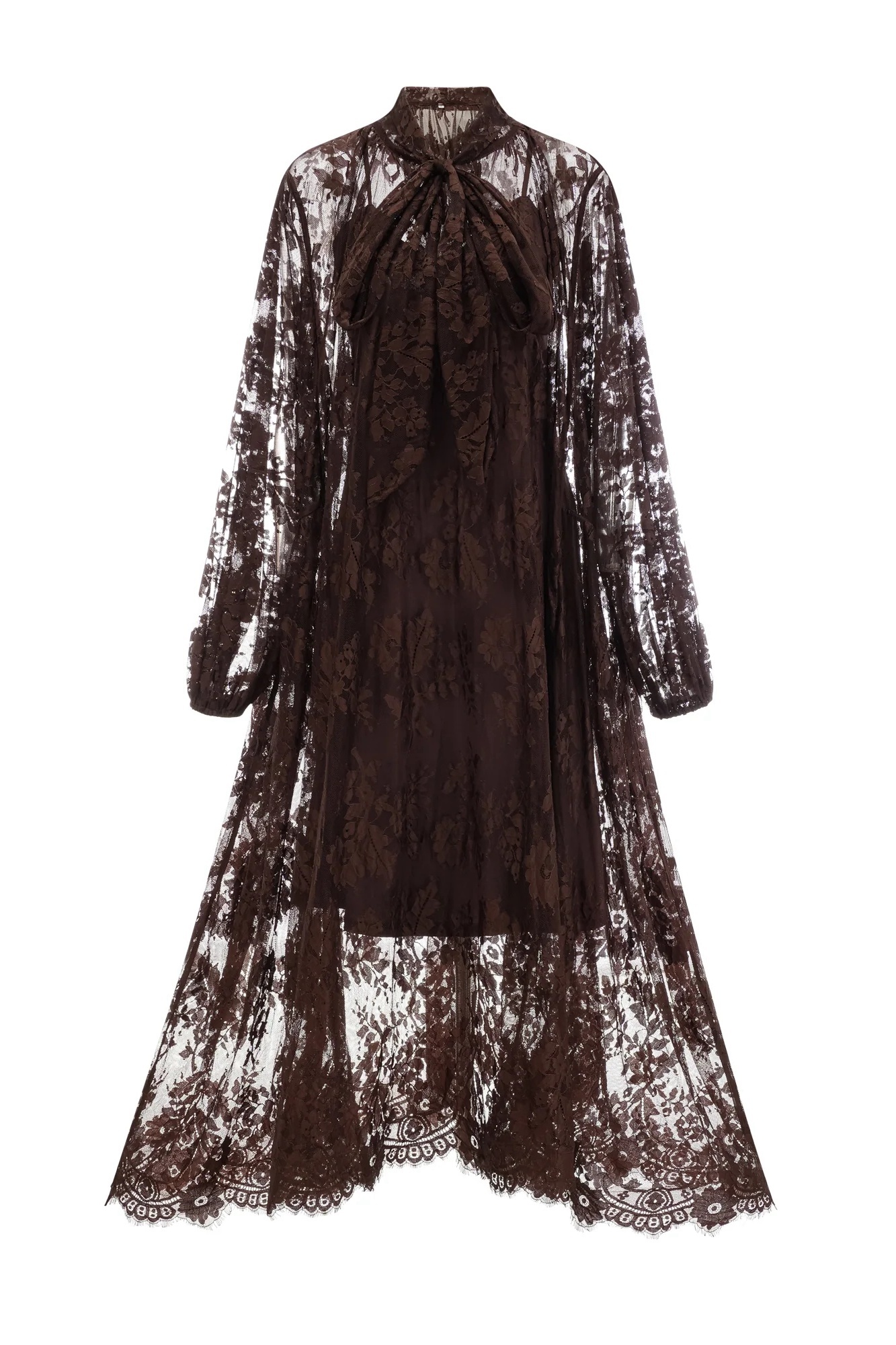 Catharine Floral Lace Sheer Maxi Dress