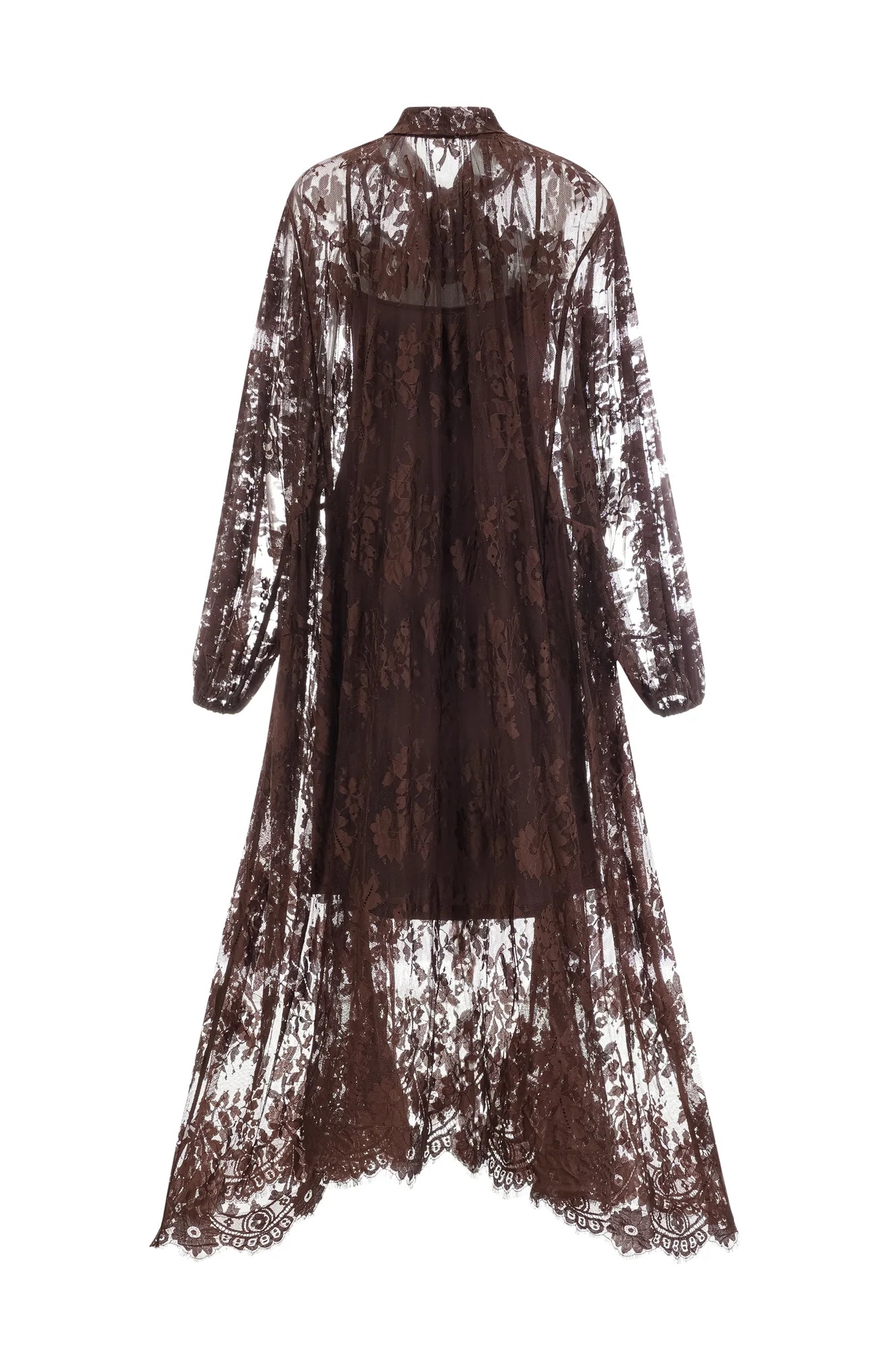 Floral Lace Sheer Dress｜Plus Size Resort women Vacation