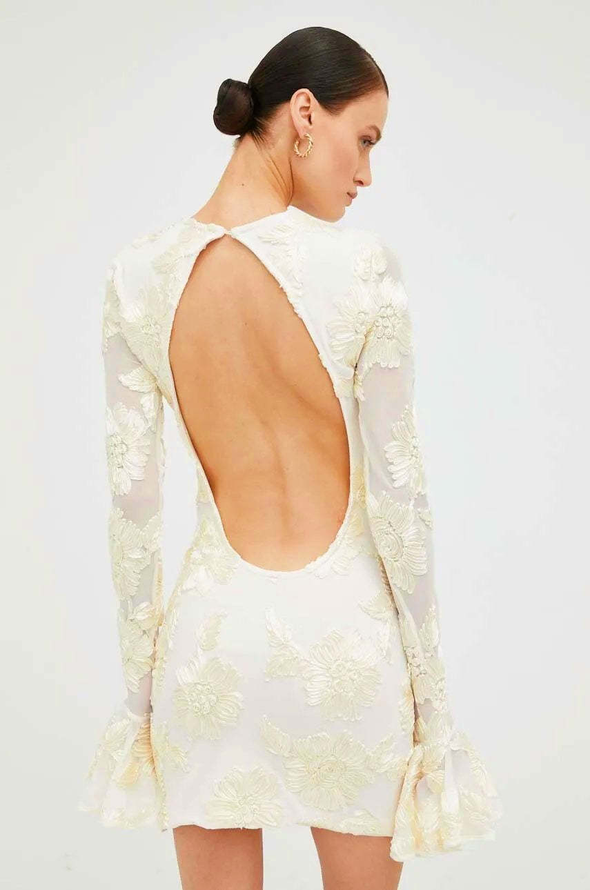 Aurora Embroidered Backless Mesh Mini Dress-Sunfere
