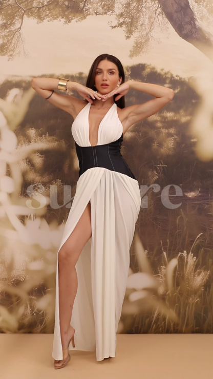 Sylvia Deep V Neck Denim Corset Maxi Dress