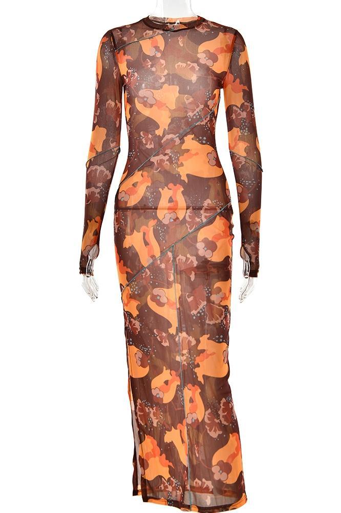 Breeda Printed See-through Maxi Mesh Dress-Sunfere