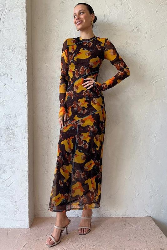 Breeda Printed See-through Maxi Mesh Dress-Sunfere