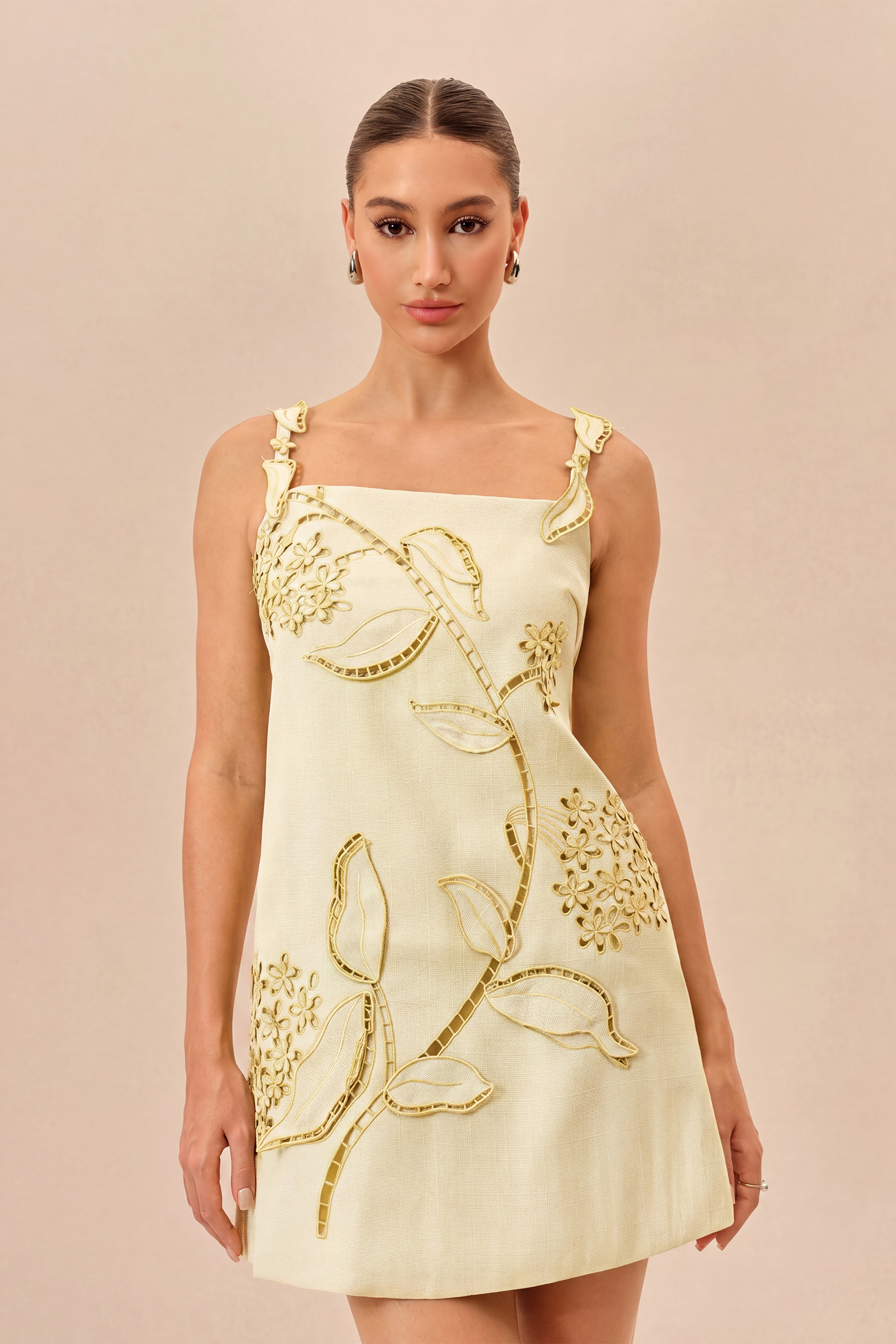 Feeling Fresh Beige Floral Embroidered Sleeveless Mini Dress