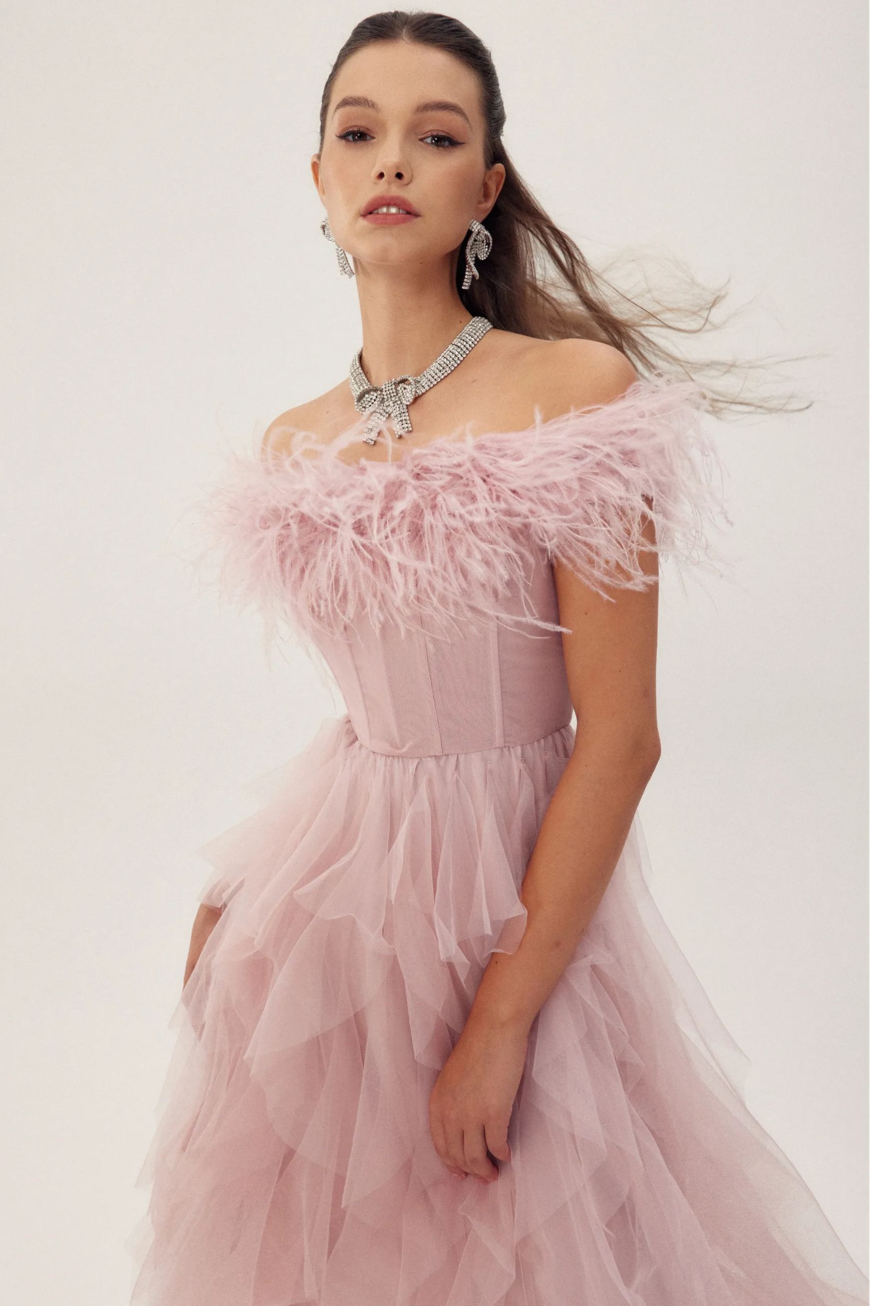 Elaine Feather Corset Maxi Tulle Dress