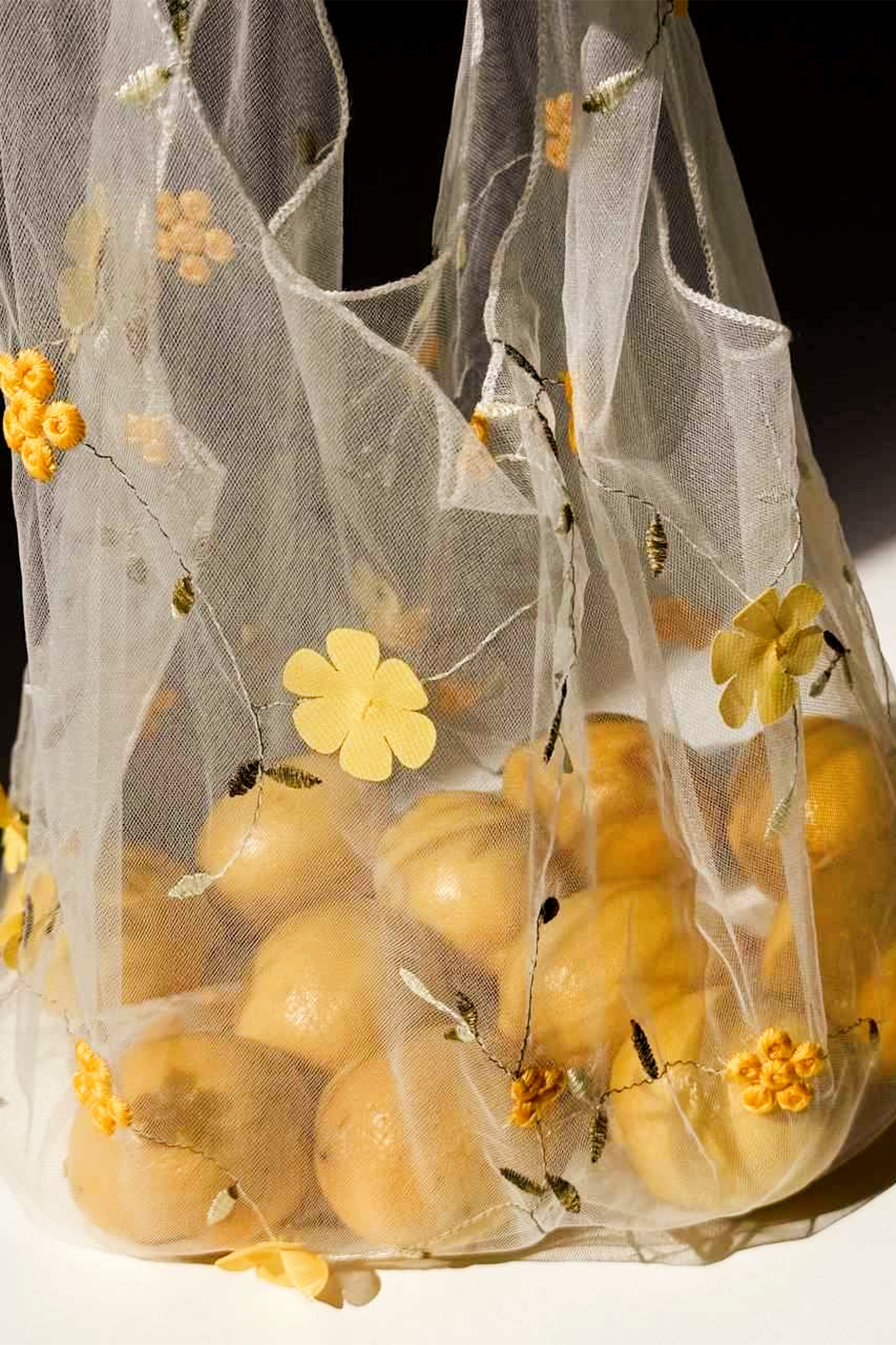 Floral Embroidered Sheer Mesh Bag