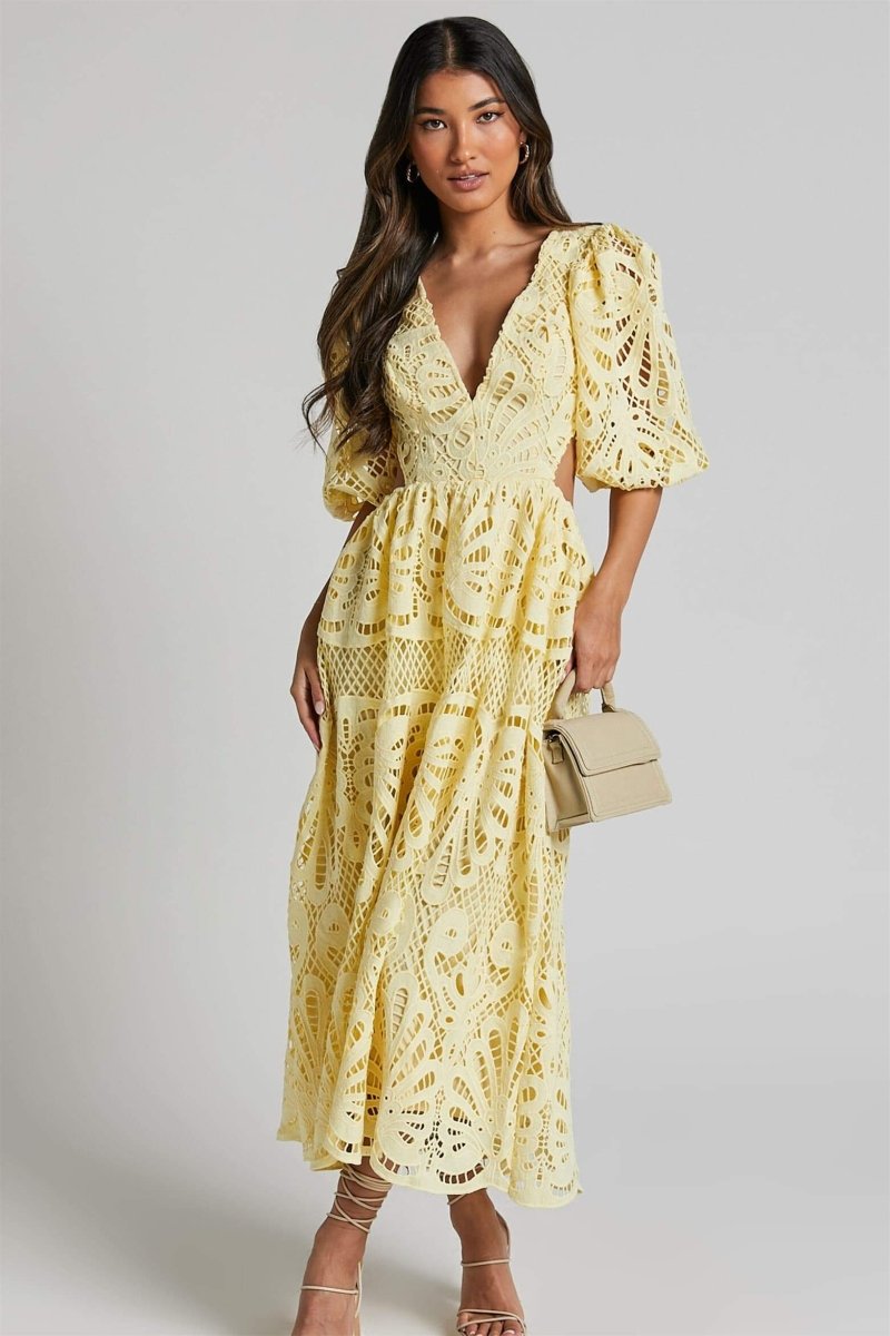 Sandra Embroidered Lace Cut out Midi Dress