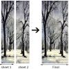 3D Door Wallpaper Peel and Stick Black and White Forest Scenery Self Adhesive 3D Door Stickers