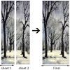 3D Door Wallpaper Peel and Stick Black and White Forest Scenery Self Adhesive 3D Door Stickers