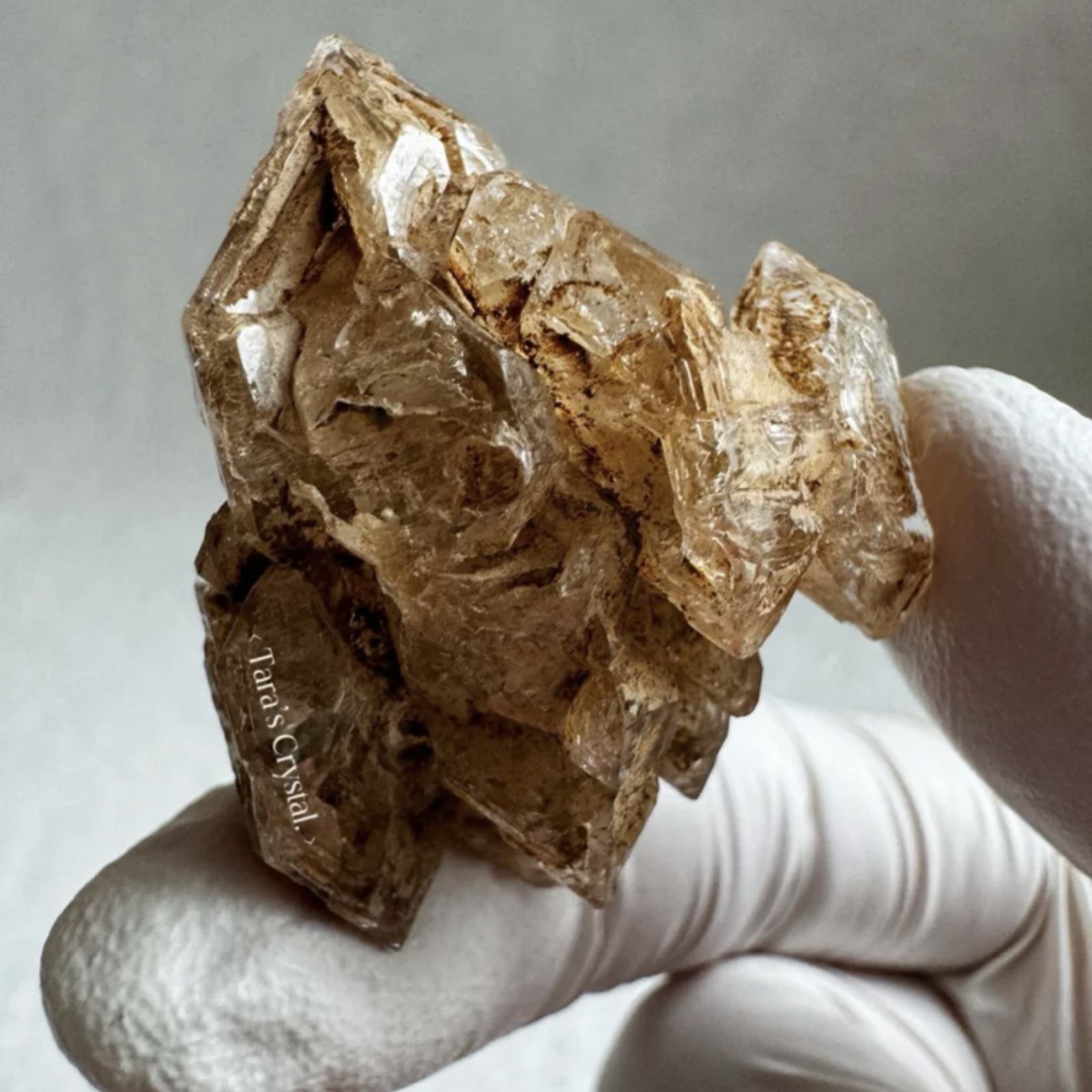 Raw - Stlye Five - Only One