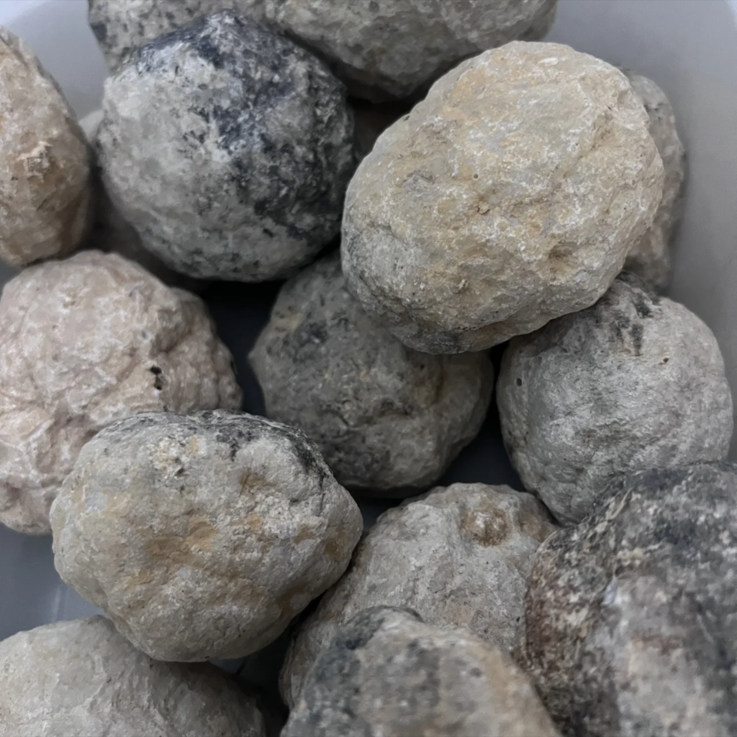 Raw - Stlye Seven - Only One