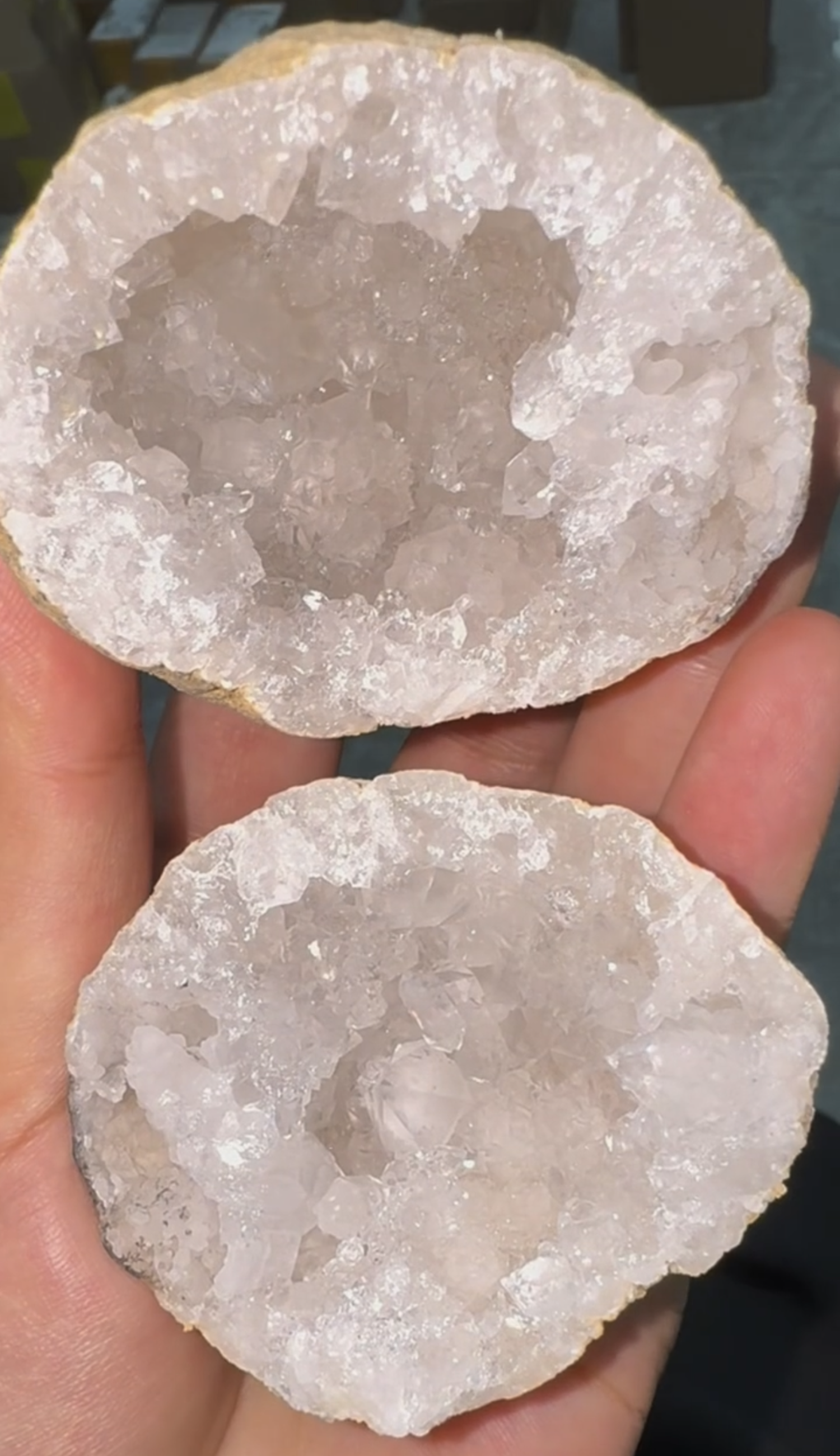 Raw - Stlye Seven - Only One