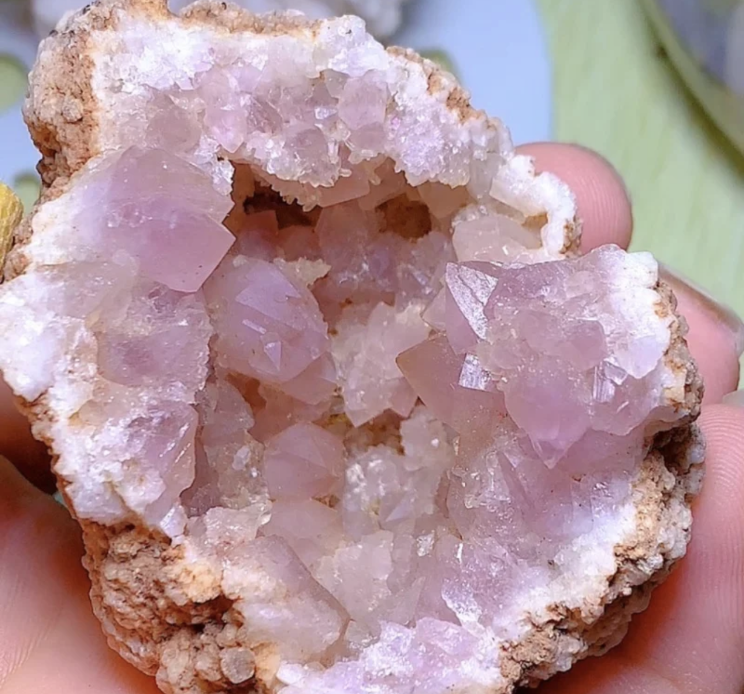 Raw - Stlye Twelve - Only One