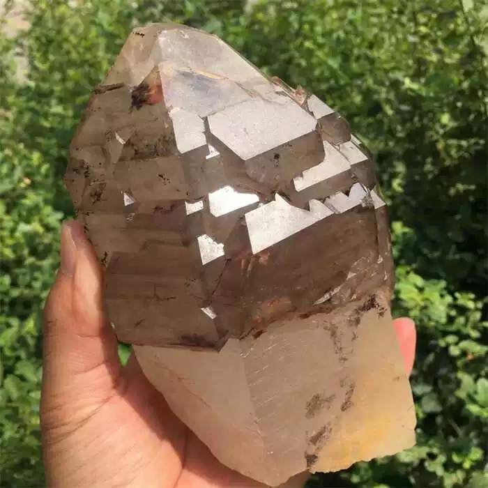 Authentic Smoky Quartz Crystal Point – Ancient Earth Energy Stone for Grounding & Protection  (3.6 lb)