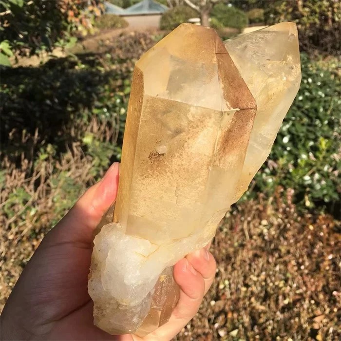 Natural Himalayan Clear Quartz Double Terminated Twin Crystal