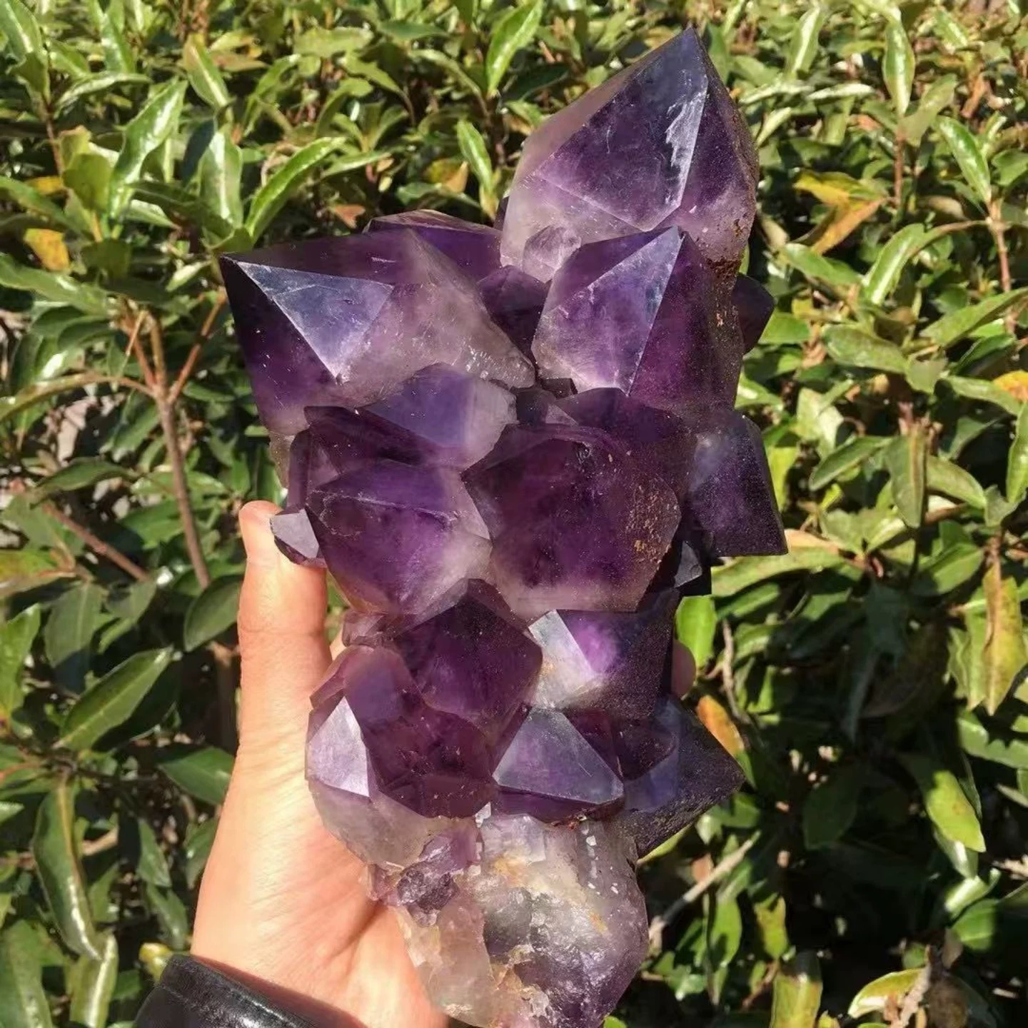 Natural Congo Amethyst Skeleton Crystal Specimen | Raw Ancient Crystal Gem ( 7.05 lb)