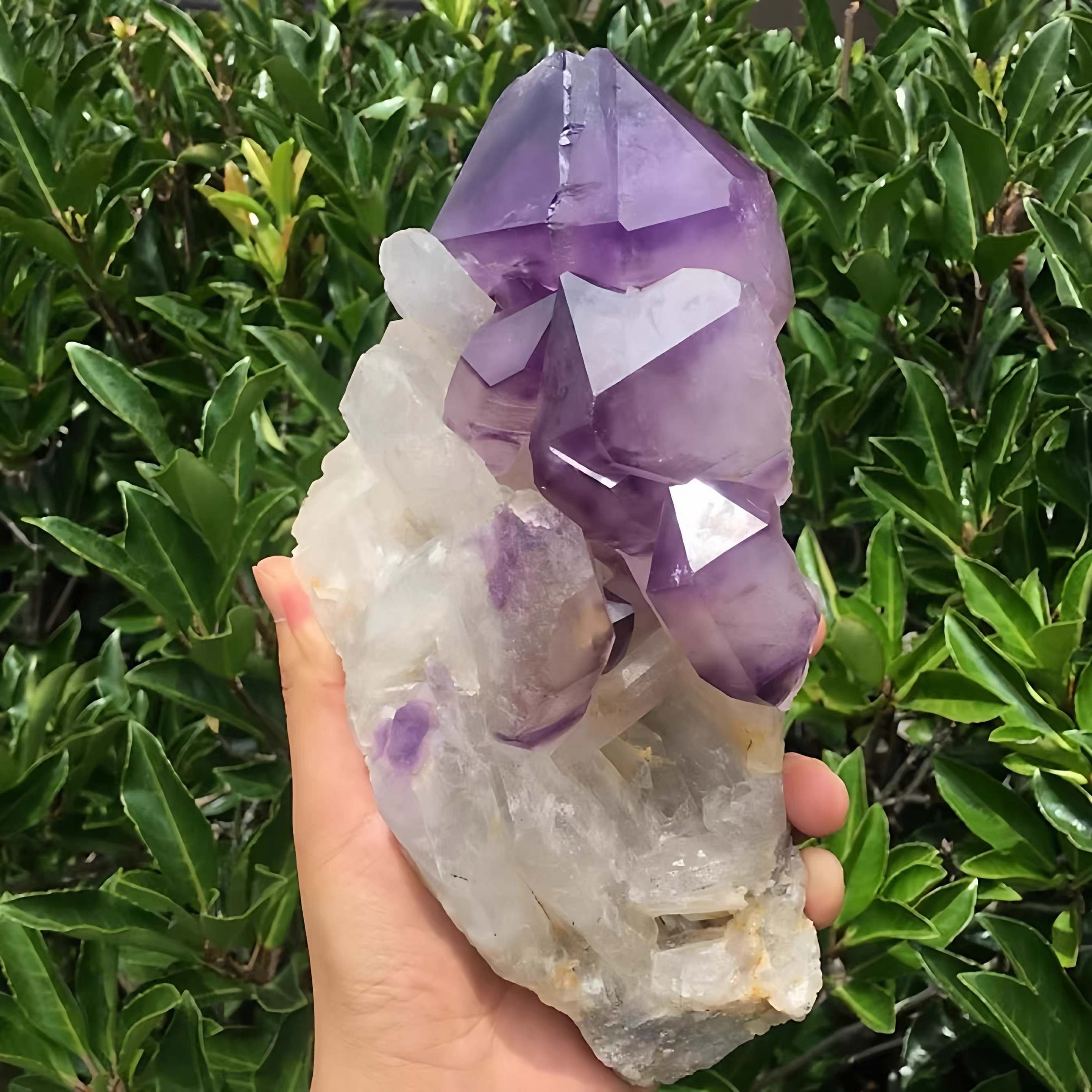 Natural Amethyst Staff Crystal Specimen | Raw Ancient Crystal Gem (4.74 lb)