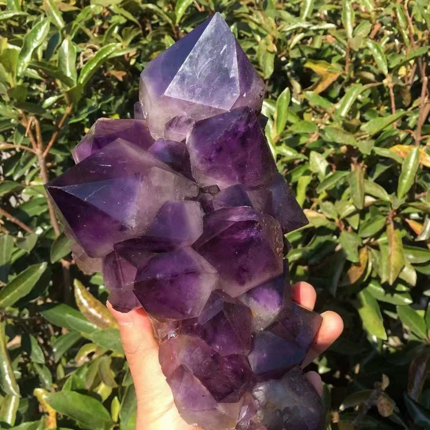 Natural Congo Amethyst Skeleton Crystal Specimen | Raw Ancient Crystal Gem ( 7.05 lb)