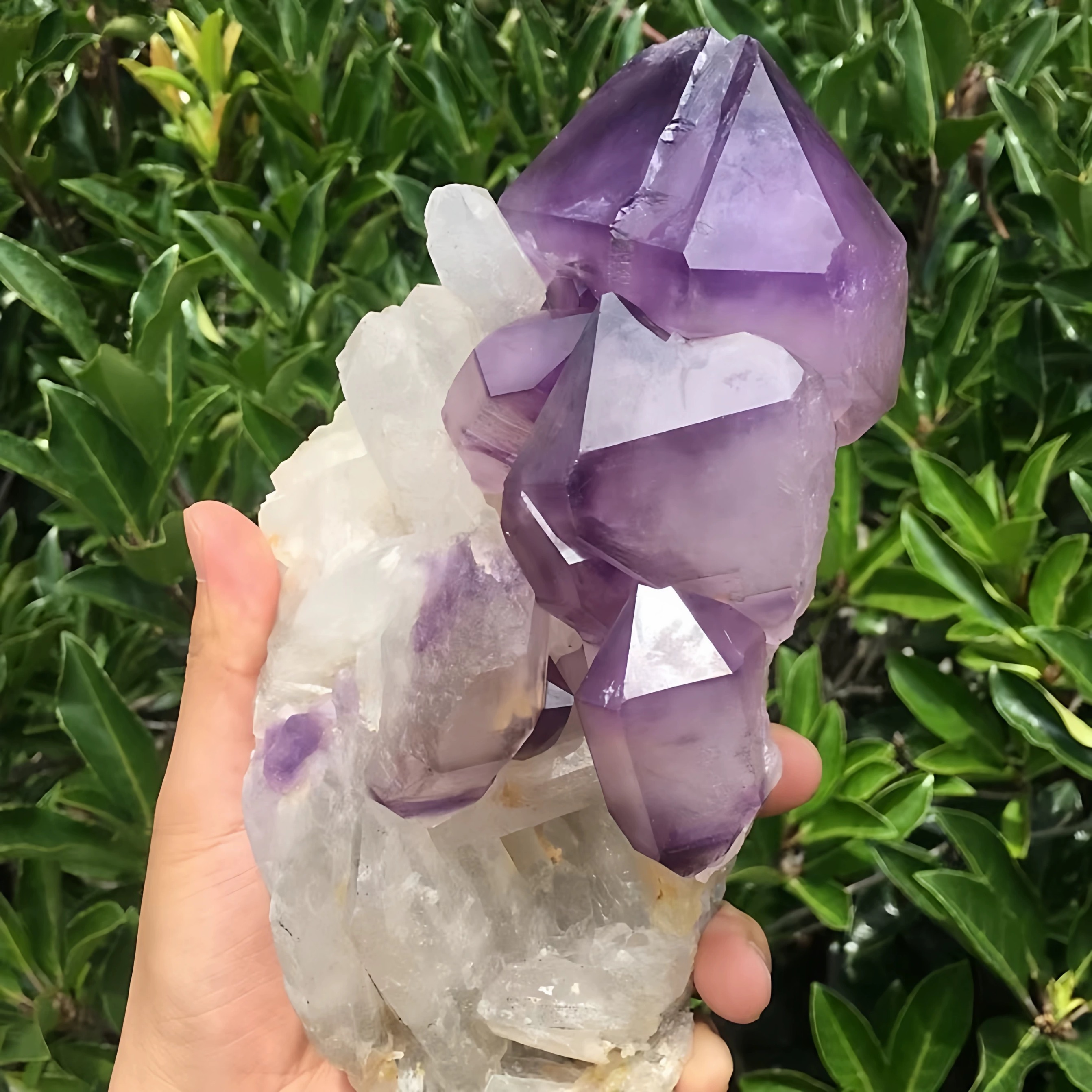 Natural Amethyst Staff Crystal Specimen | Raw Ancient Crystal Gem (4.74 lb)