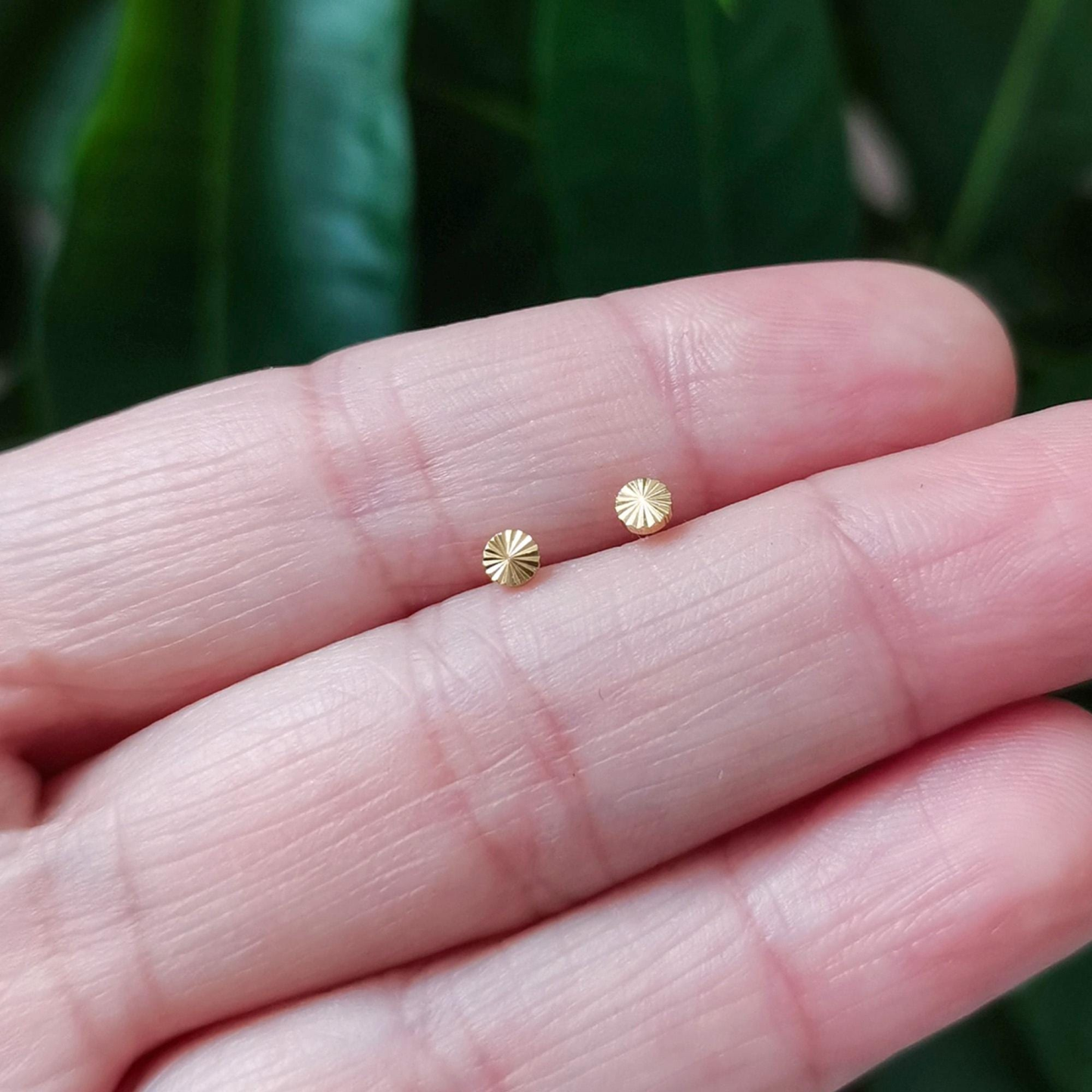 Whorl Disc Push Pin Labret Stud(2 PCS)